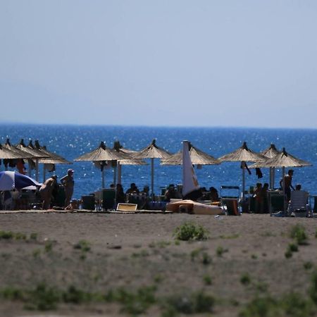 Hotel Princi I Vogel Velipojë Екстериор снимка