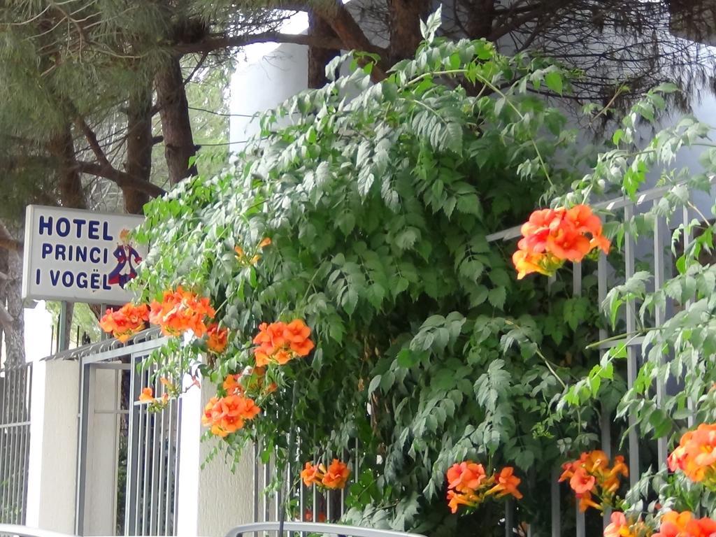 Hotel Princi I Vogel Velipojë Екстериор снимка