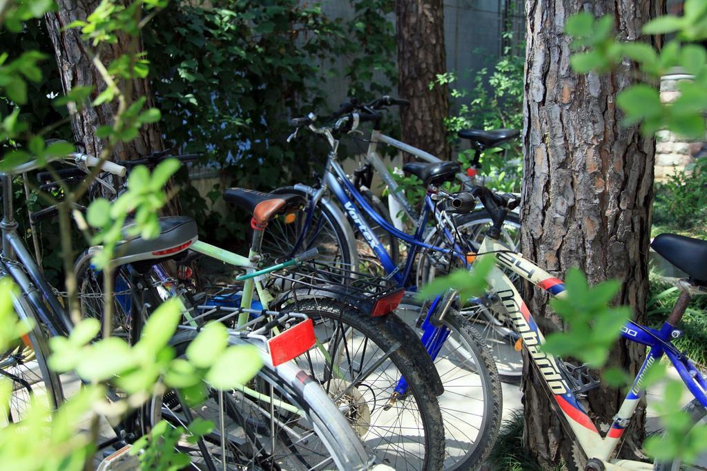 Hotel Princi I Vogel Velipojë Екстериор снимка