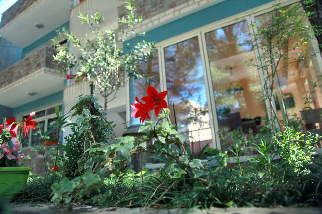Hotel Princi I Vogel Velipojë Екстериор снимка
